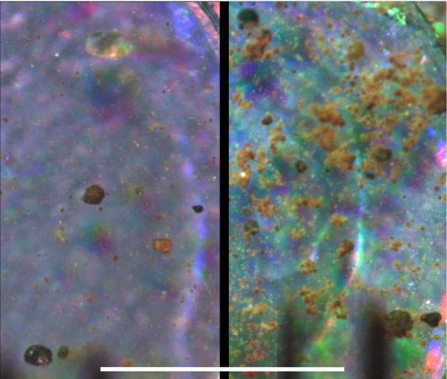 NASA image: Microscopic Comparison of Airfall Dust to Martian Soil