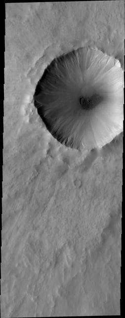 NASA image: Dunes and Gullies