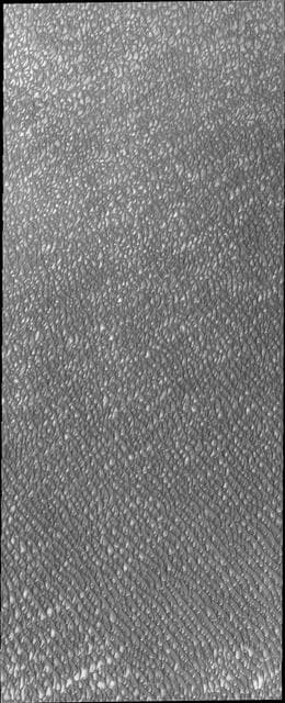 NASA image: Polar Erg