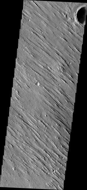 NASA image: Yardangs