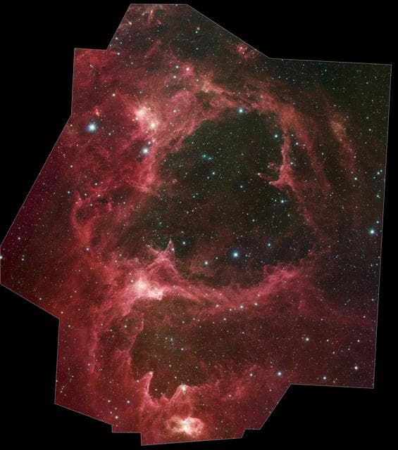 NASA image: Spitzer Reveals Stellar Family Tree