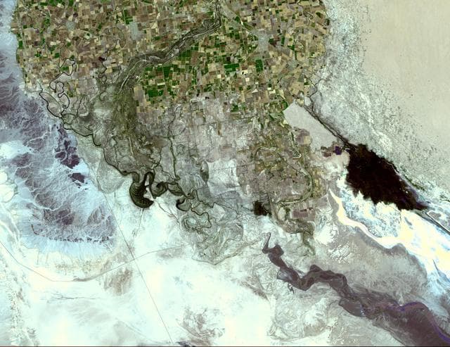 NASA image: Colorado River Delta