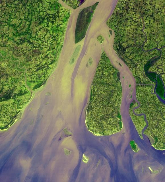 NASA image: Hugli River Delta, India