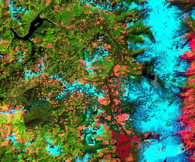 NASA image: Oregon Forests