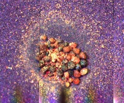 NASA image: Microscope Image of Scavenged Particles