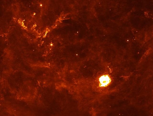 NASA image: Supernova Flashback
