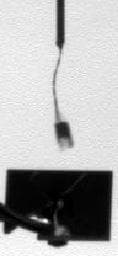 NASA image: Telltale Instrument Waving in the Martian Wind