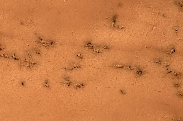 NASA image: Rectangles with Wiggly Sides