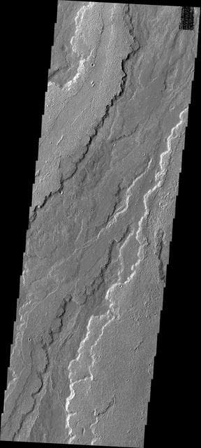 NASA image: Daedalia Planum