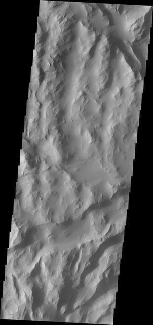 NASA image: Lycus Sulci