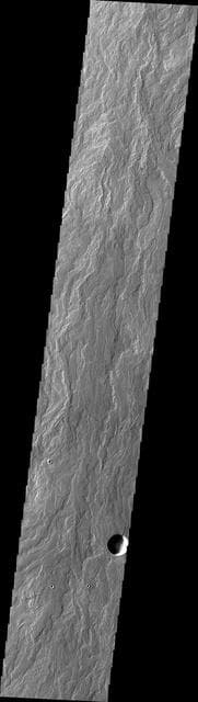NASA image: Daedalia Planum