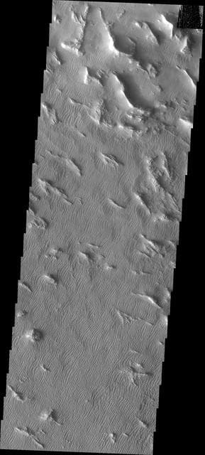 NASA image: Gigas Sulci