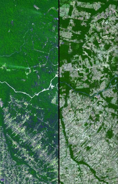 NASA image: Mato Grosso, Brazil