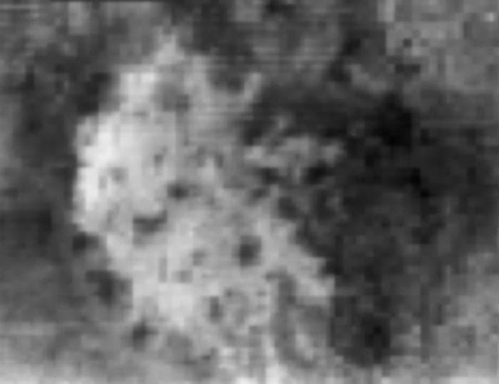 NASA image: Hotei Arcus in Infrared
