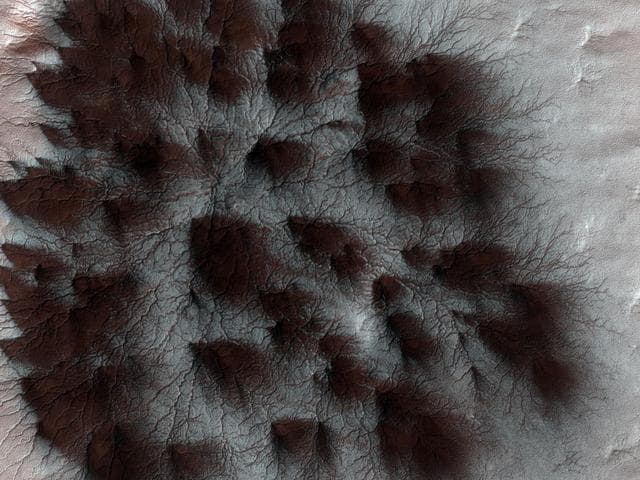 NASA image: Starburst Spider