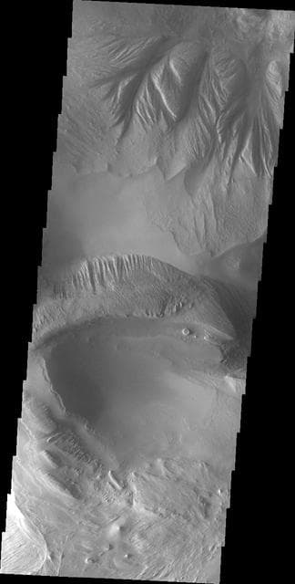NASA image: Candor Chasma