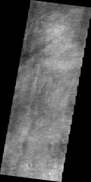 NASA image: Dust Devil Tracks