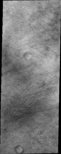 NASA image: Dust Devil Tracks