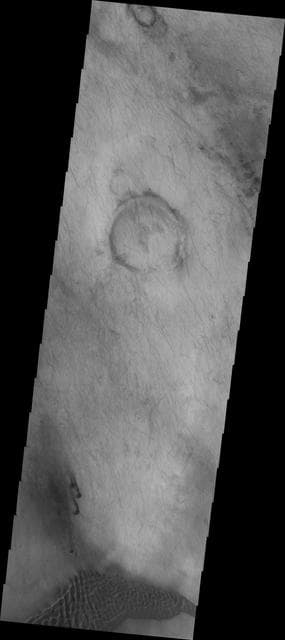 NASA image: Planum Chronium