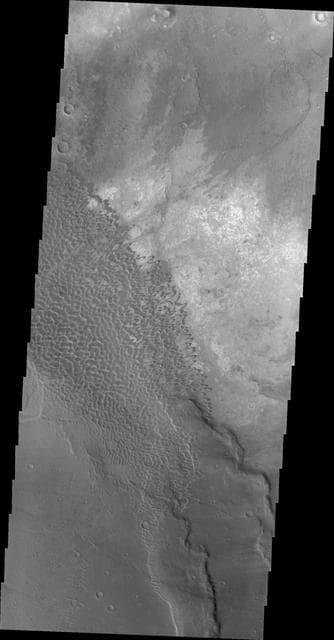 Dune Field in Nili Patera