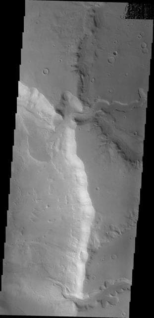 NASA image: Channels in Arabia Terra