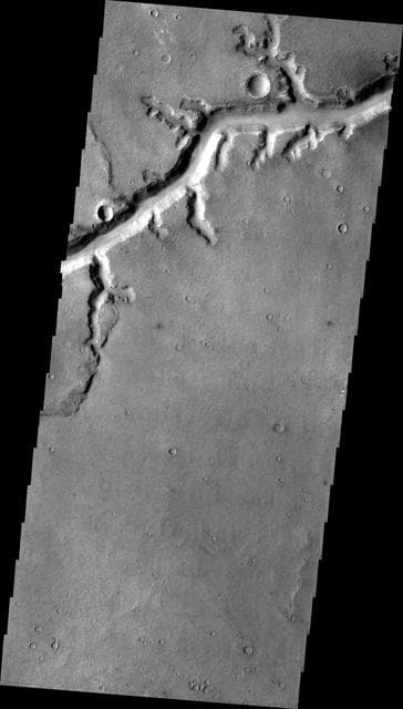 NASA image: Nirgal Vallis