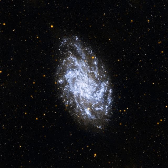 NASA image: NASA Galaxy Mission Celebrates Sixth Anniversary