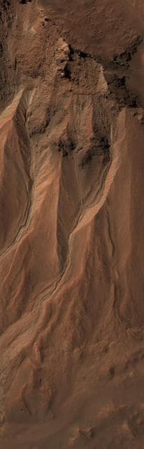 NASA image: Gullies at the Edge of Hale Crater, Mars