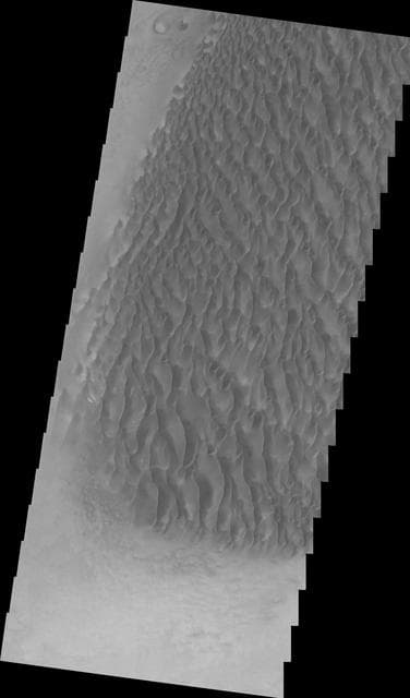 NASA image: Proctor Crater Dunes VIS