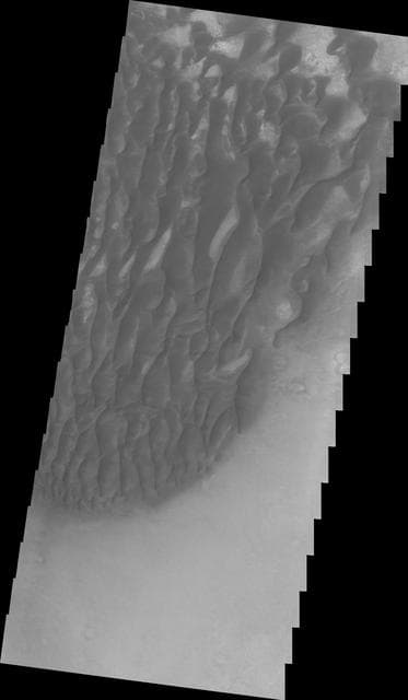 NASA image: Kaiser Crater Dunes VIS