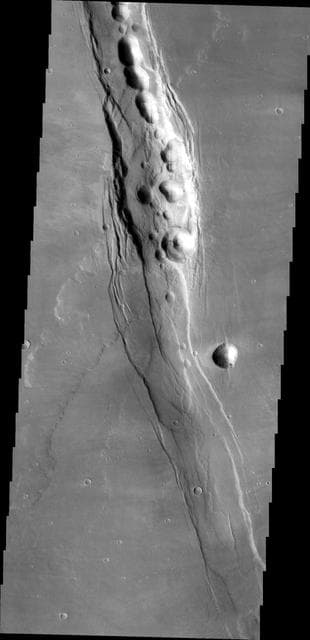 NASA image: Alba Mons