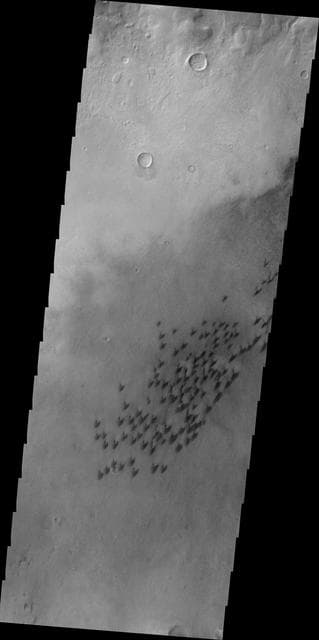 NASA image: Arkhangelsky Crater