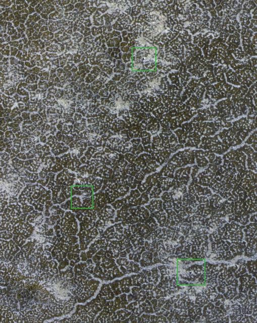 NASA image: Phoenix Lander Amid Disappearing Spring Ice