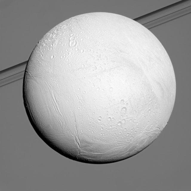 NASA image: Bright Enceladus