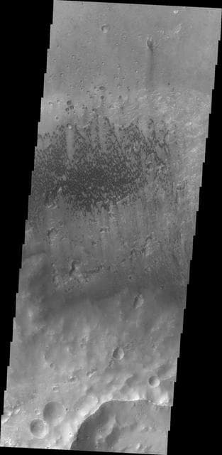 NASA image: McLaughlin Crater Dunes