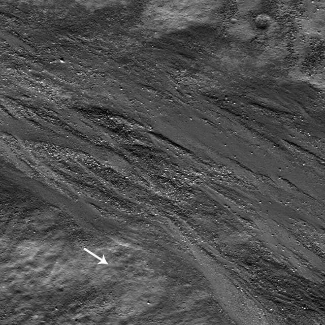 NASA image: Epigenes A