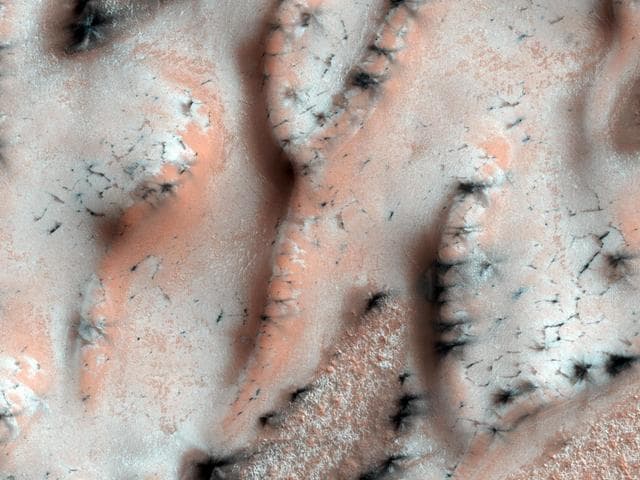 NASA image: A Burst of Spring