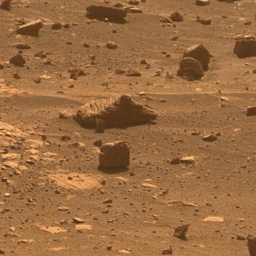 NASA image: First Image from a Mars Rover Choosing a Target