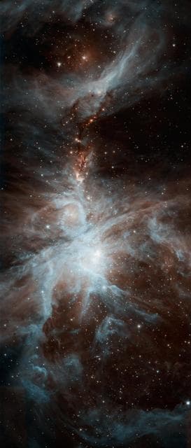 NASA image: Orion Dreamy Stars