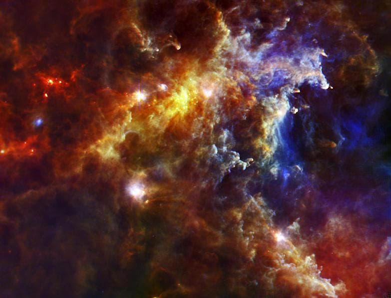 NASA image: Big Babies in the Rosette Nebula