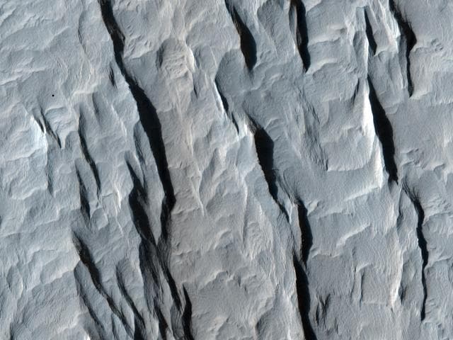 NASA image: Yardangs within a Large Crater