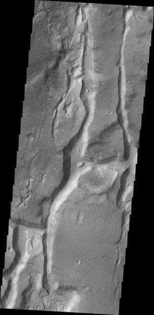 NASA image: Cydonia Mensae