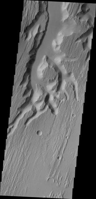 NASA image: Kasei Valles