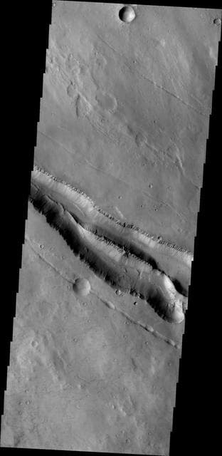 NASA image: Elysium Fractures
