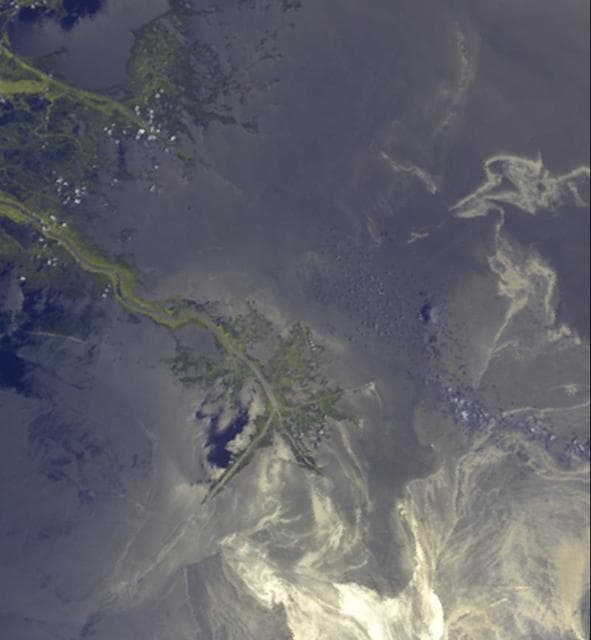 NASA image: Leaking Oil Invades Louisiana Wildlife Habitats
