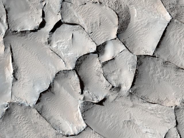 NASA image: Polygonal Ridge in Gordii Dorsum Region, Mars