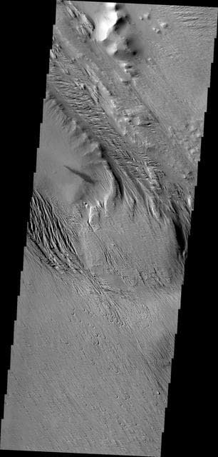 NASA image: Wind Effects