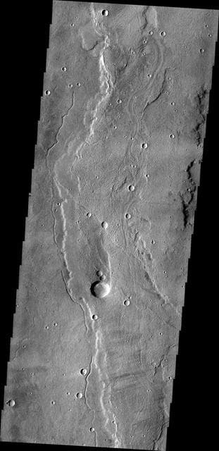 NASA image: Alba Mons