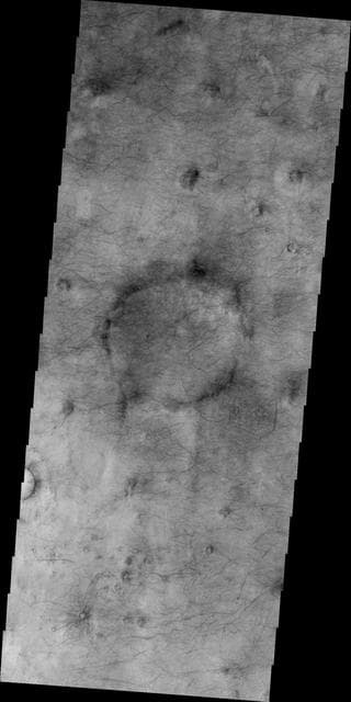 NASA image: Utopia Planitia