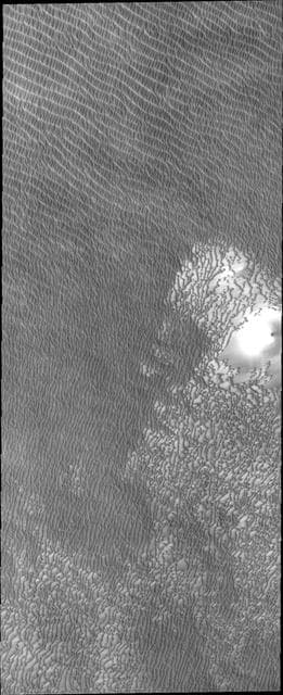NASA image: North Polar Dunes